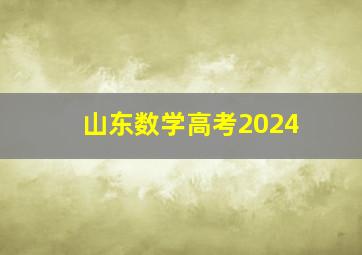 山东数学高考2024