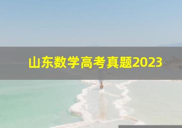 山东数学高考真题2023