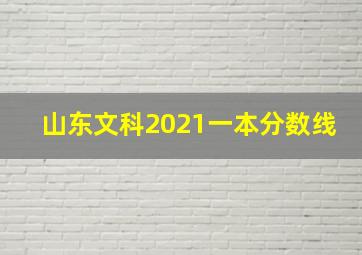 山东文科2021一本分数线