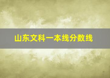 山东文科一本线分数线