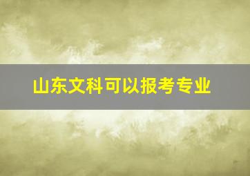 山东文科可以报考专业