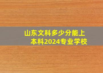 山东文科多少分能上本科2024专业学校