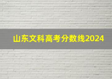 山东文科高考分数线2024