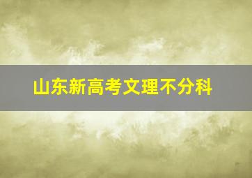 山东新高考文理不分科