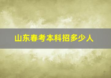 山东春考本科招多少人