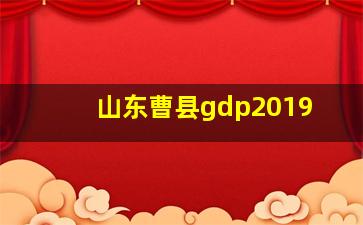 山东曹县gdp2019