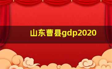 山东曹县gdp2020