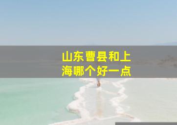 山东曹县和上海哪个好一点