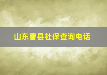 山东曹县社保查询电话