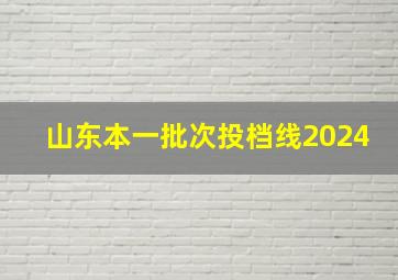 山东本一批次投档线2024