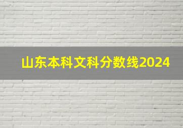 山东本科文科分数线2024