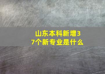 山东本科新增37个新专业是什么