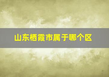 山东栖霞市属于哪个区