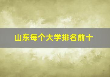 山东每个大学排名前十