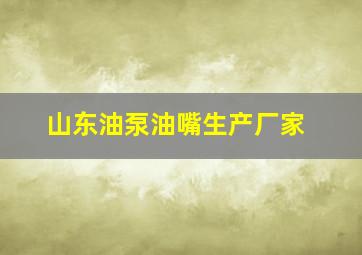 山东油泵油嘴生产厂家