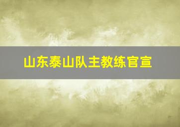 山东泰山队主教练官宣