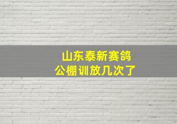 山东泰新赛鸽公棚训放几次了