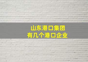 山东港口集团有几个港口企业