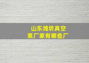 山东潍坊真空泵厂家有哪些厂