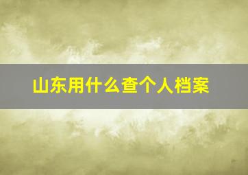 山东用什么查个人档案