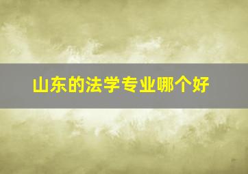 山东的法学专业哪个好