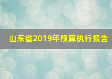 山东省2019年预算执行报告