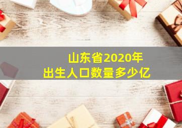 山东省2020年出生人口数量多少亿