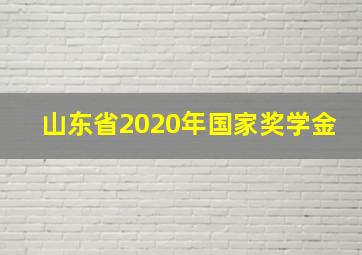 山东省2020年国家奖学金