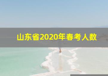 山东省2020年春考人数