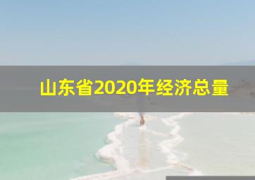 山东省2020年经济总量