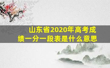 山东省2020年高考成绩一分一段表是什么意思