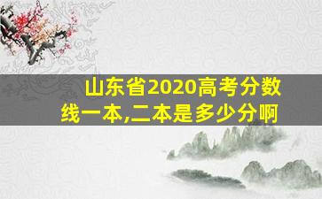 山东省2020高考分数线一本,二本是多少分啊