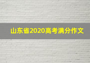 山东省2020高考满分作文