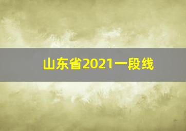 山东省2021一段线