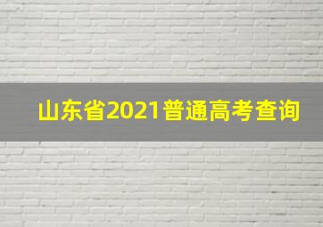 山东省2021普通高考查询