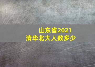 山东省2021清华北大人数多少