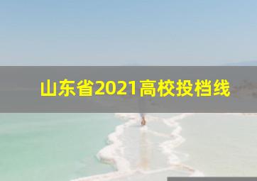 山东省2021高校投档线