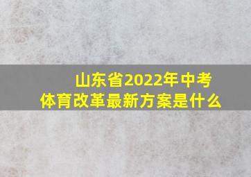 山东省2022年中考体育改革最新方案是什么