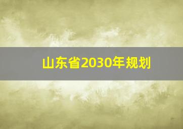 山东省2030年规划