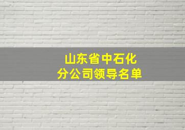 山东省中石化分公司领导名单