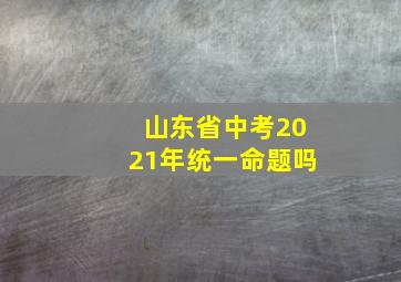 山东省中考2021年统一命题吗