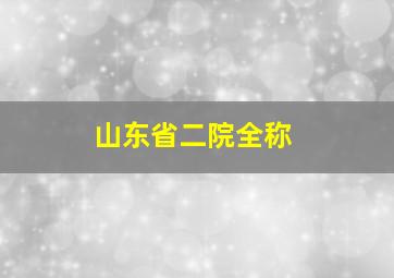 山东省二院全称