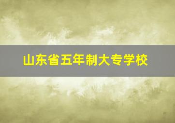 山东省五年制大专学校