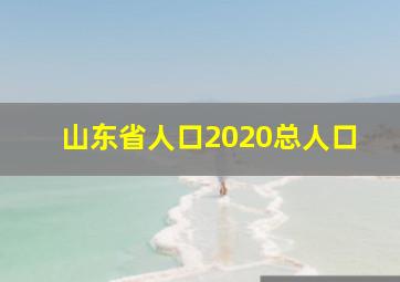 山东省人口2020总人口