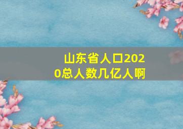 山东省人口2020总人数几亿人啊