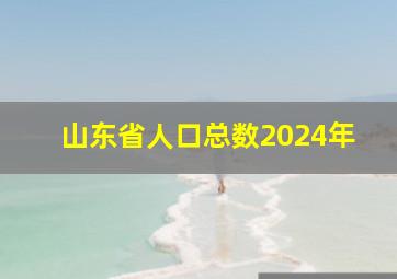 山东省人口总数2024年