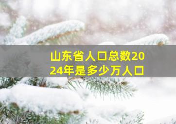 山东省人口总数2024年是多少万人口