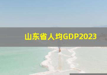 山东省人均GDP2023