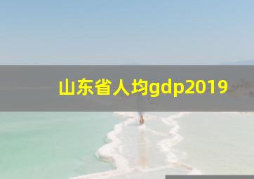 山东省人均gdp2019