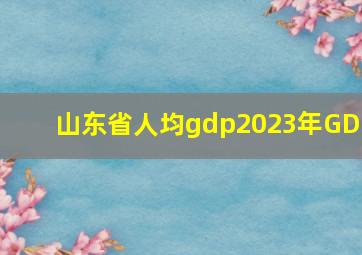 山东省人均gdp2023年GDP